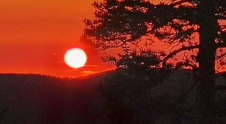 Sommerhus i Passebekk