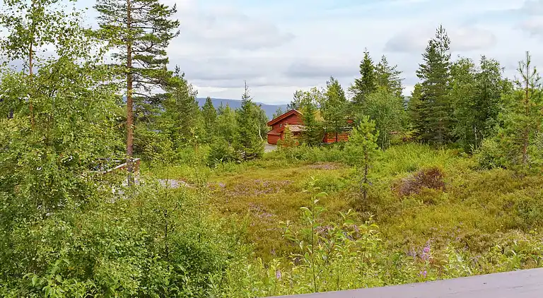 Sommerhus i Passebekk