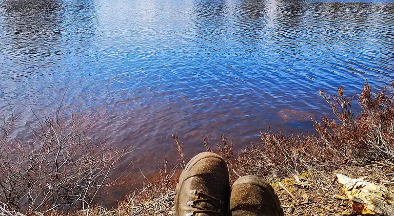 Sommerhus i Passebekk