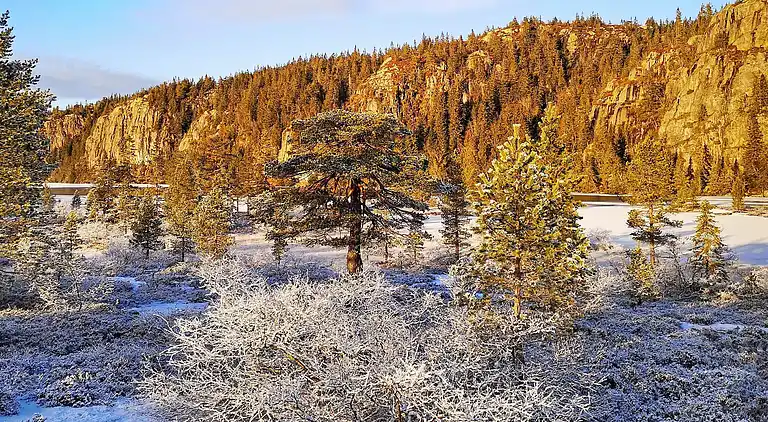 Sommerhus i Passebekk