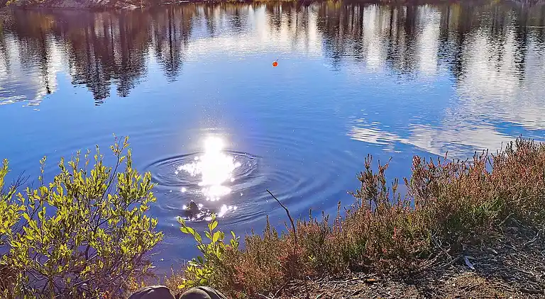 Sommerhus i Passebekk