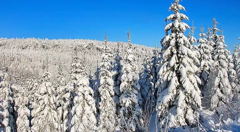 Sommerhus i Passebekk