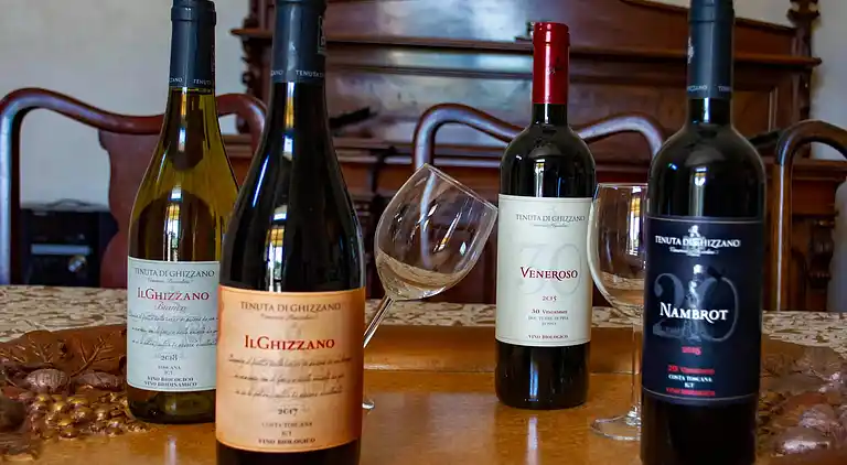 Holiday home in Peccioli