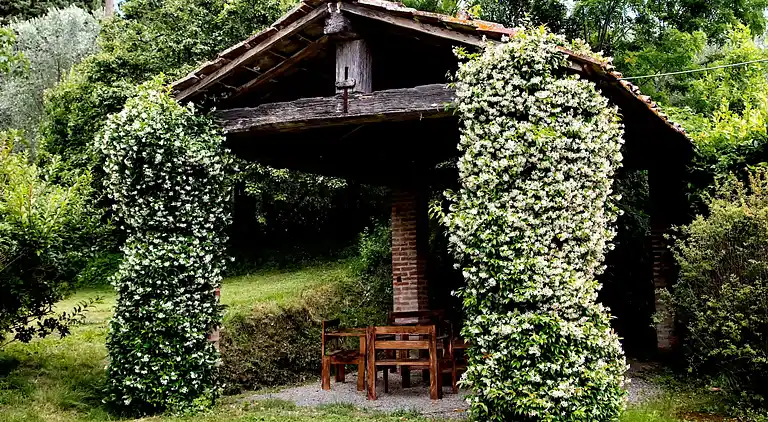 Holiday home in Peccioli