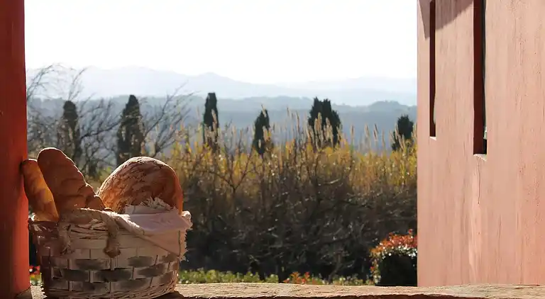 Holiday home in Peccioli