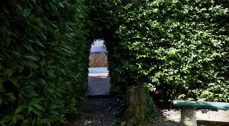 Holiday home in Ghizzano