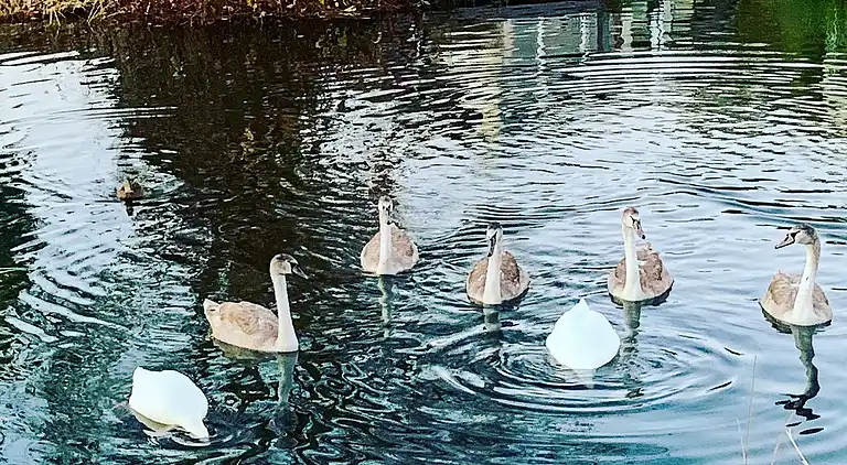 Casa vacanze in Otterndorf