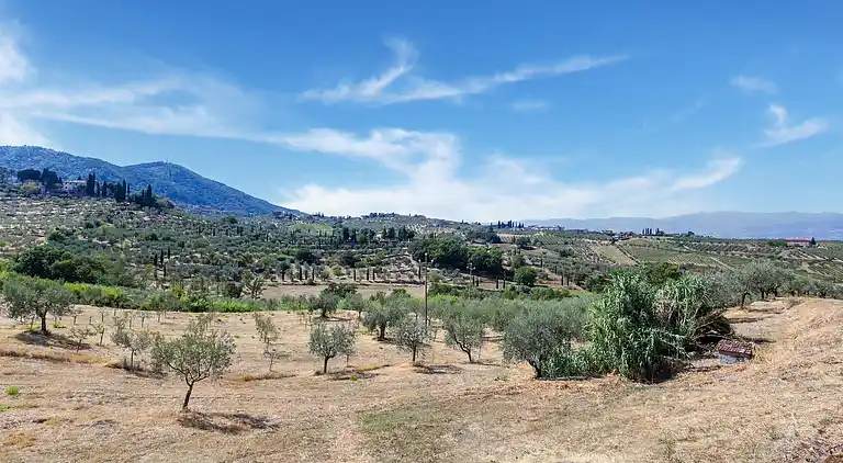 Gårdshus i Quarrata