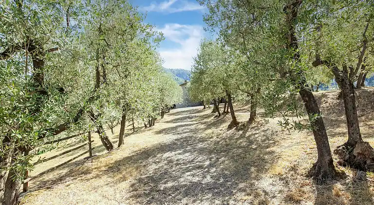 Gårdshus i Quarrata