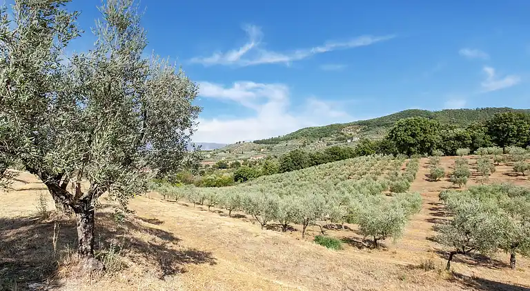 Gårdshus i Quarrata