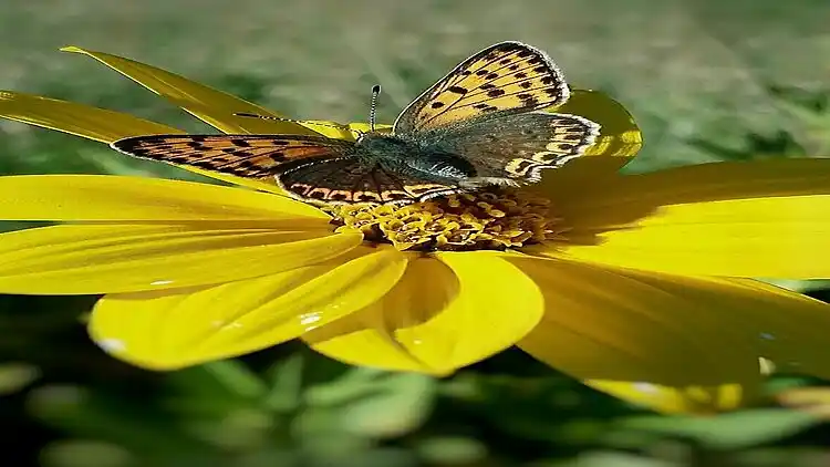 Holiday home in Castelnuovo di Val di Cecina