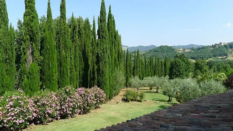 Holiday home in Castelnuovo di Val di Cecina