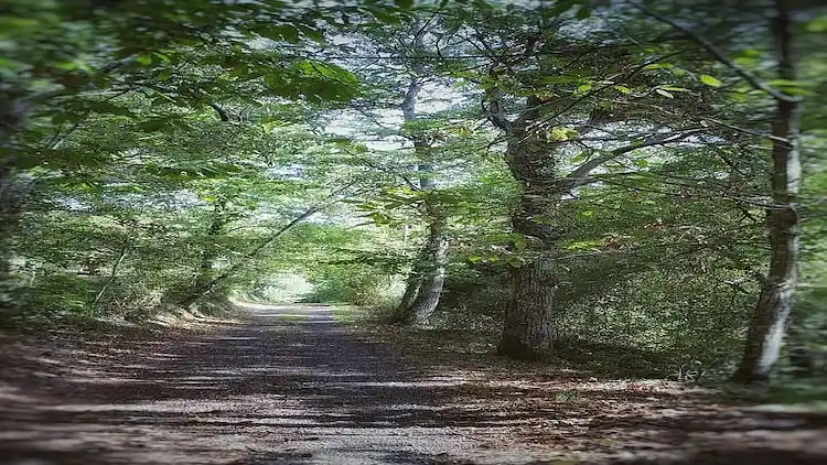 Holiday home in Castelnuovo di Val di Cecina