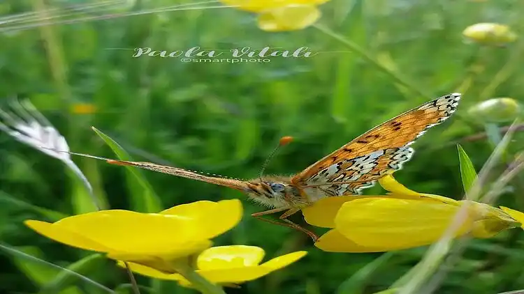 Holiday home in Castelnuovo di Val di Cecina