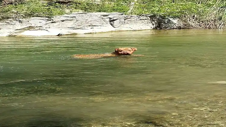 Holiday home in Castelnuovo di Val di Cecina