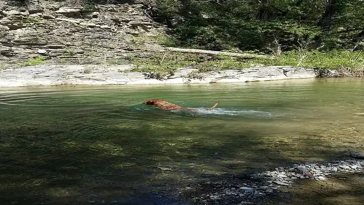 Holiday home in Castelnuovo di Val di Cecina