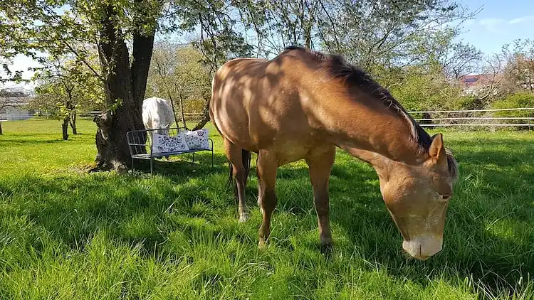 Holiday home in Europe