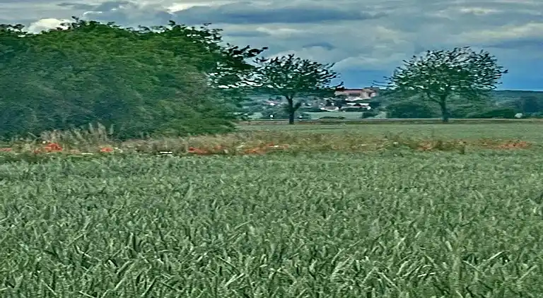 Holiday home in Ermsleben