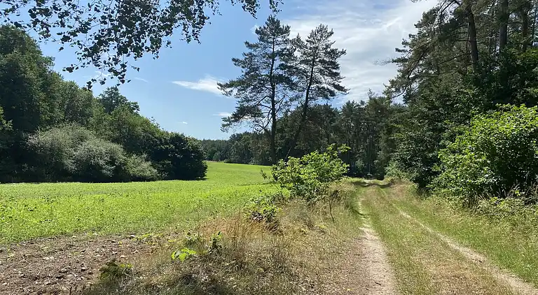 Appartement au Lübberstorf