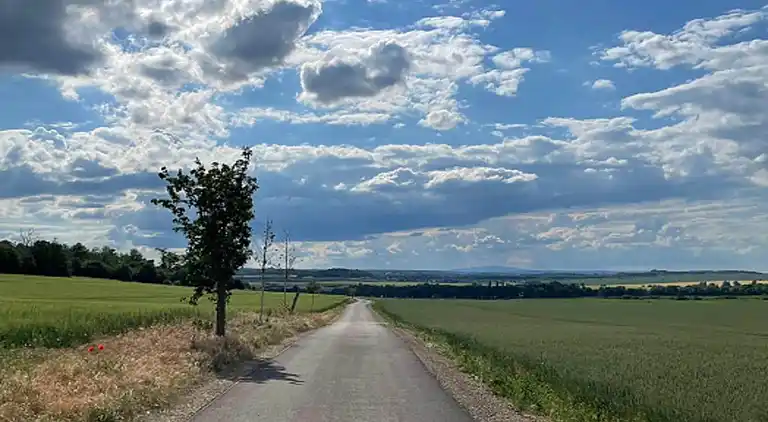 Holiday home in Ermsleben