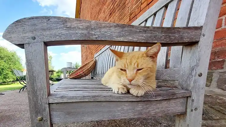 Appartement au Lübberstorf