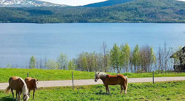 Holiday home in Holand
