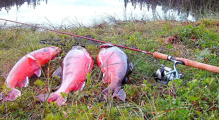 Holiday home in Holand