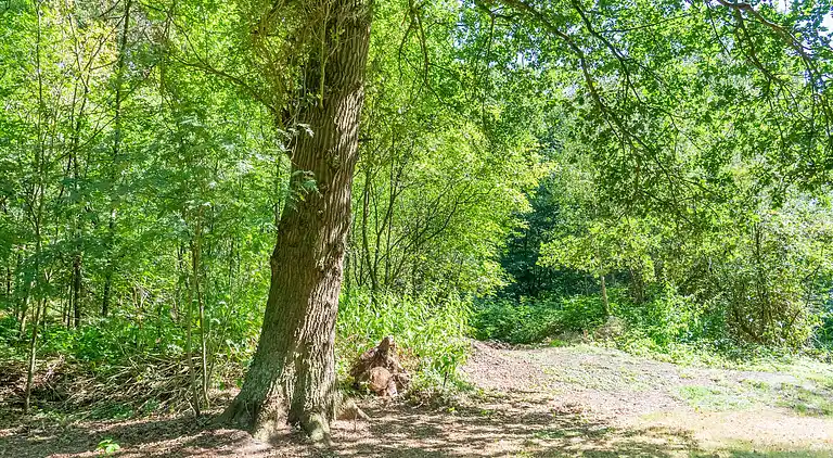 Holiday home in Lochem
