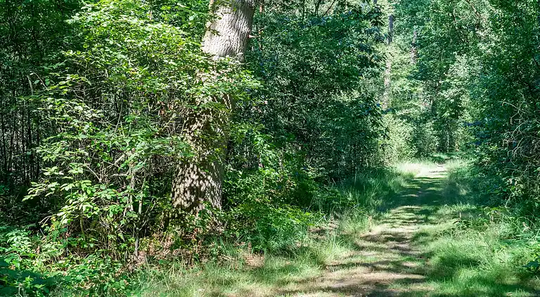 Holiday home in Lochem