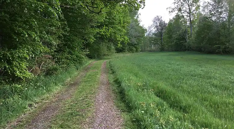Holiday home in Svenljunga Ö