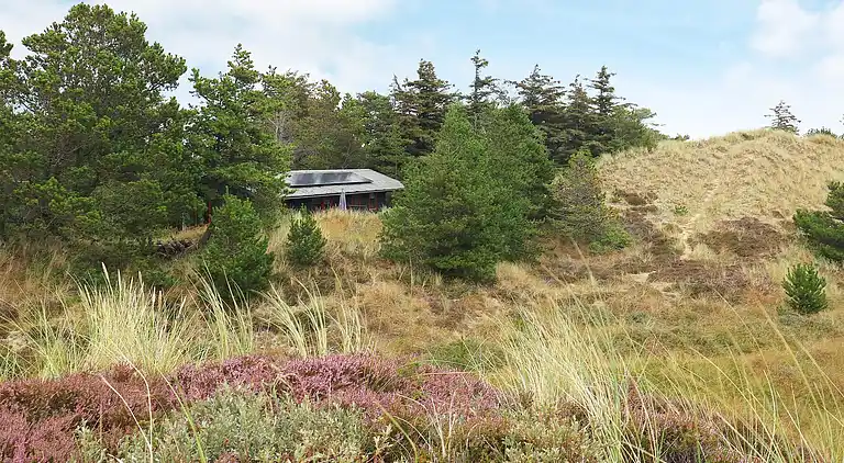 Holiday home in Skagen