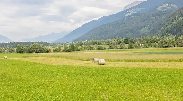 Apartment in Tröpolach