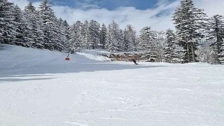 Ferielejlighed i Bad Mitterndorf