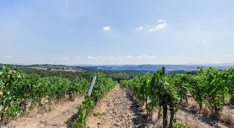 Feriebolig i Capraia e Limite