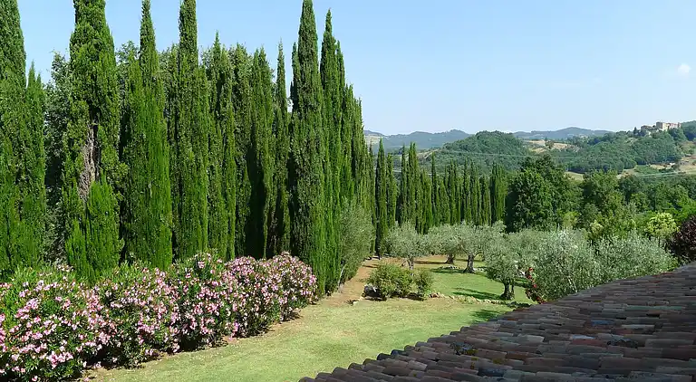 Holiday home in Castelnuovo di Val di Cecina