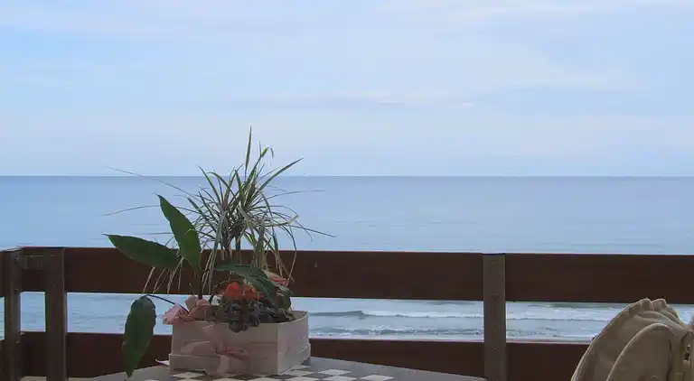 Holiday home in Donoratico