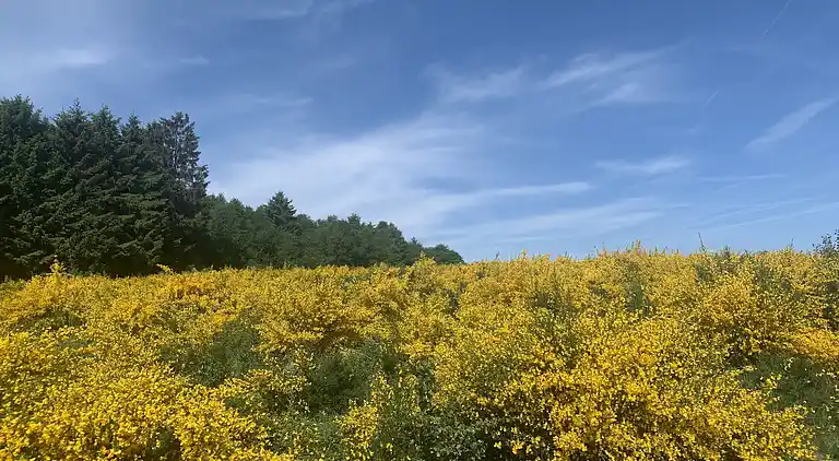 Farm house in Europe