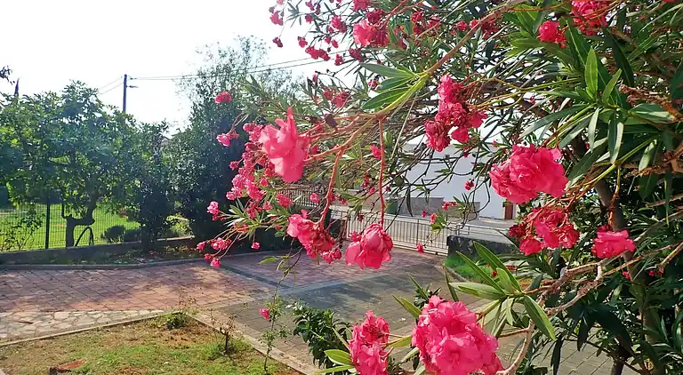 Ferielejlighed i Starigrad