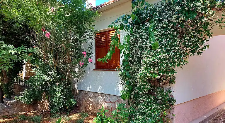 Semesterbostad i Novalja