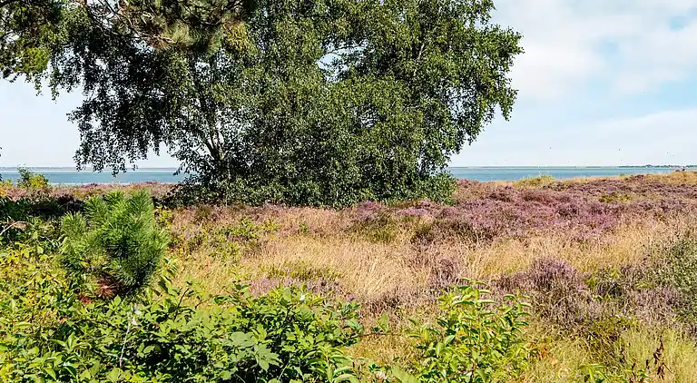 Semesterbostad i Havneby