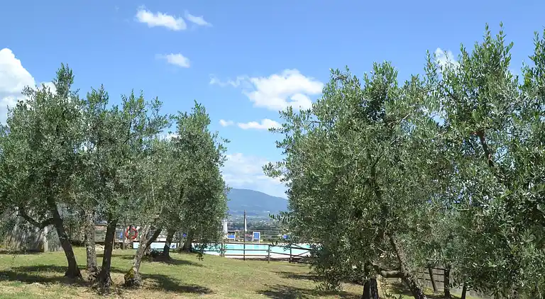 Gårdshus i Quarrata