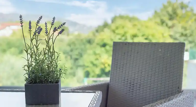 Sommerhus i Prado (São Miguel)