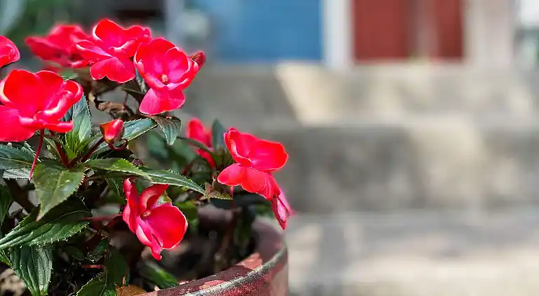 Ferienhaus in Korpahult