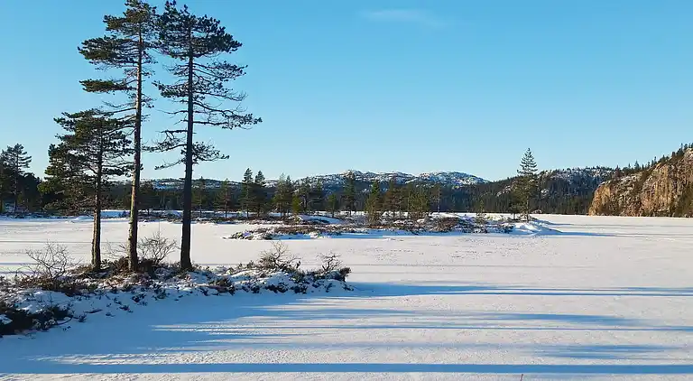 Sommerhus i Passebekk