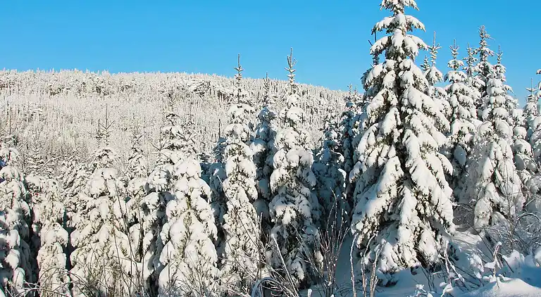 Sommerhus i Passebekk