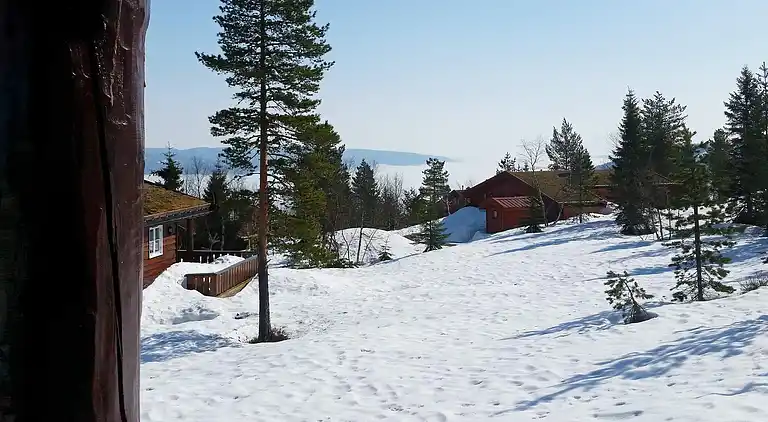 Sommerhus i Passebekk