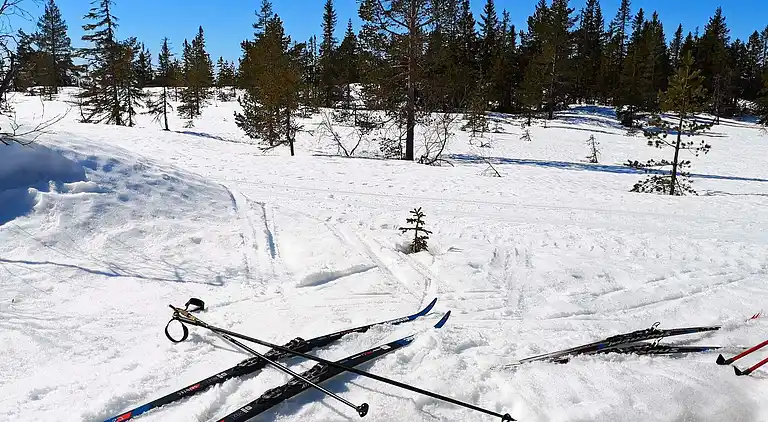 Sommerhus i Passebekk