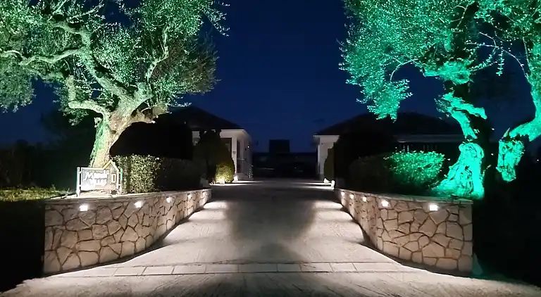 Madini Luxury villa with private swimming pool