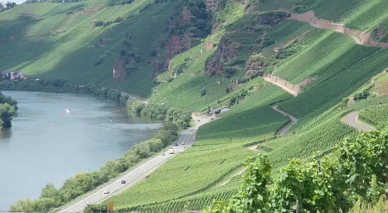 Ferielejlighed i Wolf