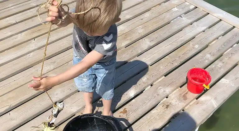 Vakre solnedganger 100 meter fra stranden